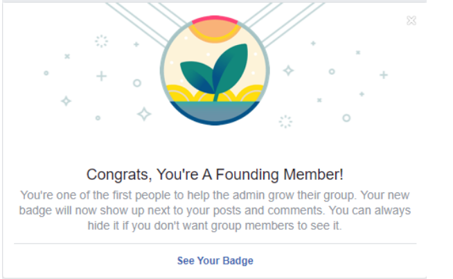 What Are All the Facebook Badges – A Full List