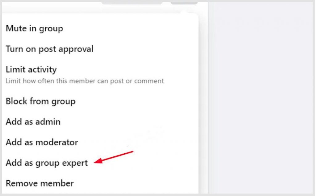 Facebook Group Expert - add member as group expert